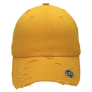 4350 DISTRICT : C1463V | Distressed Unisex Baseball Cap