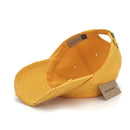 4350 DISTRICT : C1463V | Distressed Unisex Baseball Cap