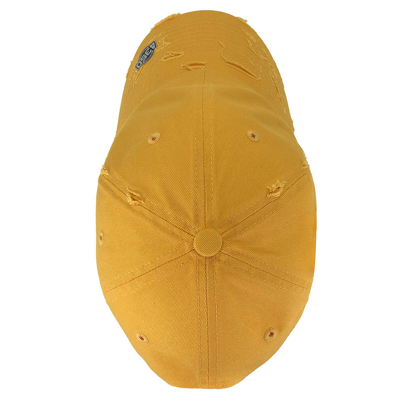 4350 DISTRICT : C1463V | Distressed Unisex Baseball Cap