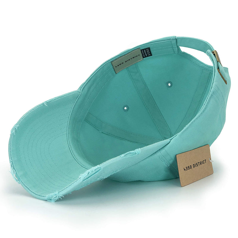 4350 DISTRICT : C1463V | Distressed Unisex Baseball Cap