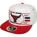 TOP LEVEL : BULL | Embroidered Black and Red Lines Design Snapback Cap