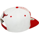 TOP LEVEL : BULL | Front Raised Bull Verbiage with Dripping Design Snapback Cap