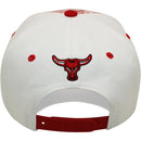 TOP LEVEL : BULL | Front Raised Bull Embroidery with Verbiage Print Design Snapback Cap