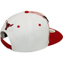 TOP LEVEL : BULL | Front Raised Bull Embroidery with Verbiage Print Design Snapback Cap