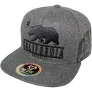 TOP LEVEL : CALI BEAR | Front-raised Verbiage Embroidery with Calibear Design Snapback Cap