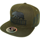 TOP LEVEL : CALI BEAR | Front-raised Verbiage Embroidery with Calibear Design Snapback Cap