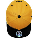 TOP LEVEL : CALI BEAR | Front-raised High Quality Embroidery Design Snapback Cap