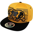 TOP LEVEL : CALI BEAR | Front-raised High Quality Embroidery Design Snapback Cap