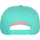 TOP LEVEL : HUSTLE | Cool Bear with All-over Newspaper Print Design Snapback Cap