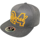 TOP LEVEL : LEGEND | 24 Embroidery Design Snapback Cap