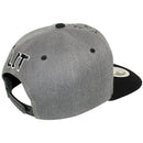 TOP LEVEL : LIT | Front-raised Verbiage Design Snapback Cap