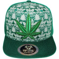 #color_d.green