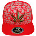 #color_red