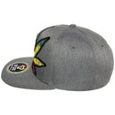 TOP LEVEL : MARIJUANA | Front-raised Marijuana Verbiage Embroidery Design Snapback Cap