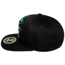 TOP LEVEL : MARIJUANA | Rasta Colors Design Snapback Cap