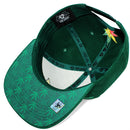 TOP LEVEL : MARIJUANA | Rasta Colors Design Snapback Cap
