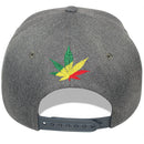 TOP LEVEL : MARIJUANA | Rasta Colors Design Snapback Cap