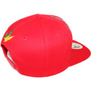 TOP LEVEL : MARIJUANA | Rasta Colors Design Snapback Cap