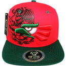 TOP LEVEL : MEXICO | Hecho EN Multi Design Snapback Cap