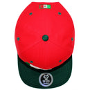 TOP LEVEL : MEXICO | Map with Mexico Flag Sublimation Patch Design Snapback Cap