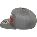TOP LEVEL : MEXICO | Engraving Mexico Eagle Leather Patch Design Snapback Cap