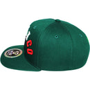 TOP LEVEL : MEXICO | Engraving Mexico Eagle Leather Patch Design Snapback Cap