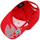 TOP LEVEL : MEXICO | Engraving Mexico Eagle Leather Patch Design Snapback Cap