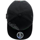 TOP LEVEL : MEXICO | Mexican Coat of Arms with Mexico Flag Colors Design Snapback Cap