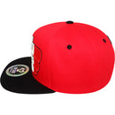 TOP LEVEL : MEXICO | Front-raised Mexican Eagle with Mexico Flag Design Snapback Cap