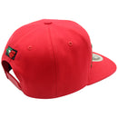 TOP LEVEL : MEXICO | Front-raised MEX Verbiage Design Snapback Cap