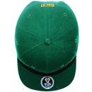 TOP LEVEL : MEXICO | Eagle Metal Foil Patch Design Snapback Cap
