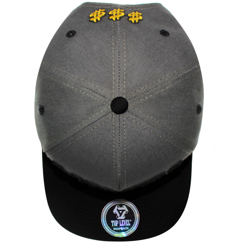 TOP LEVEL : MONEY | Bill Sublimation Patch Design Snapback Cap