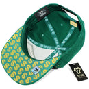 TOP LEVEL : MONEY | Embroidered $100 Bill with Sublimation & Luxury $ Print Design Snapback Cap