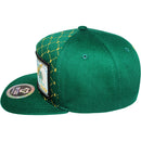 TOP LEVEL : MONEY | Embroidered $100 Bill with Sublimation & Luxury $ Print Design Snapback Cap
