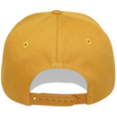 TOP LEVEL : MONEY | Rich Bear Character $100 Money Bill Design Snapback Cap