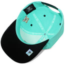 TOP LEVEL : SAVAGE | Bear Character Embroidery All-over Print Design Snapback Cap