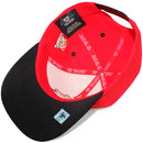 TOP LEVEL : SAVAGE | Bear Character Embroidery All-over Print Design Snapback Cap