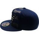 TOP LEVEL : USA | Map with Flag Design Snapback Cap