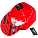 TOP LEVEL : USA | Map with Flag Design Snapback Cap