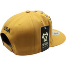 TOP LEVEL : USA | Map with Flag Design Snapback Cap