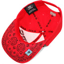 TOP LEVEL : VIBES | Front Raised Embroidery & All-over Bandana Print Design Snapback Cap